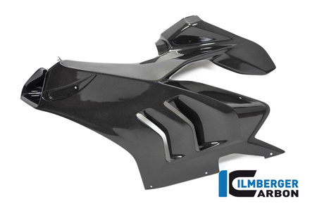 Panel boczny owiewki lewy - połysk do motocykla DUCATI Panigale V4 R Racing (2019-2021) ILMBERGER VEL.061.V4RRG.K
