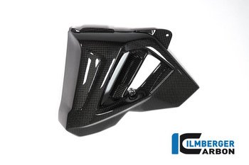 Osłona chłodnicy lewa - BMW F 800 R od 2015 ILMBERGER WKL.103.F8R15.K