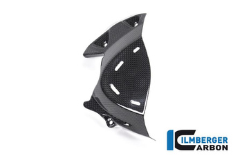 Osłona przedniej zębatki - gloss do DUCATI Monster 1200 (od 2017) ILMBERGER RIO.003.DM17G.K