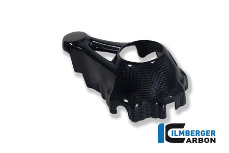 Osłona obudowy napędu stożkowego - carbon BMW R 1200 GS (LC 2013-2016) ILMBERGER KGS.031.GS12L.K