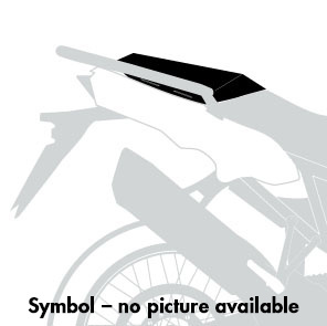 Sportrack for BMW R 1300 R (2025-)