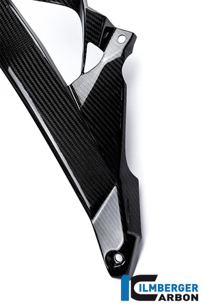 Osłona chłodnicy wodnej lewa - carbon BMW S 1000 R (2014-2016) ILMBERGER WKL.208.S100N.K