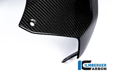 Osłona górna zbiornika - carbon BMW S 1000 R (2014-2016) / S 1000 RR Street (od 2015) ILMBERGER TAO.204.S100N.K