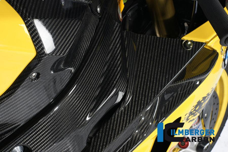 Zestaw osłon ramy - carbon lewy i prawy BMW S 1000 RR Racing (2009-2011) ILMBERGER RAA.072.S1RAB.K