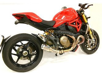Tłumik końcowy + decat Austin Racing DUCATI MONSTER 821/1200
