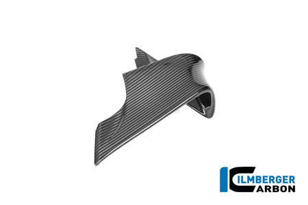 Lotka lewa do motocykla BMW M 1000 RR Racing od 2025 - ILMBERGER VFL.505.M1RR5.K