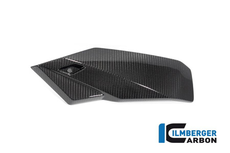 Osłona silnika lewa - carbon BMW M 1000 R (2023-2024) ILMBERGER CG.MSL.009.S121N