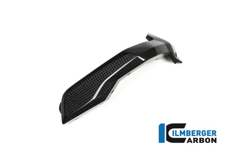 Osłona świecy zapłonowej prawa - carbon BMW R 1200 GS (LC) (2013-2016) ILMBERGER ZKR.002.LCBOX.K