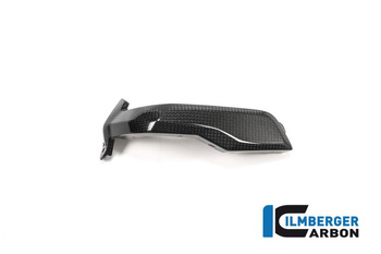 Osłona świecy zapłonowej lewa carbon - BMW R 1200 GS (LC) (2013-2016) ILMBERGER ZKL.001.LCBOX.K