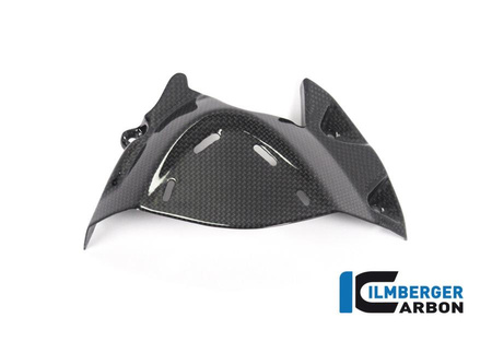 Osłona przedniej zębatki - gloss do DUCATI Monster 1200 (od 2017) ILMBERGER RIO.003.DM17G.K