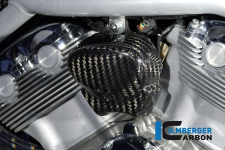 Osłona sygnału dźwiękowego carbon - Harley Davidson V-Rod EINZELSTCKE ILMBERGER HPA.011.HDVRG.K