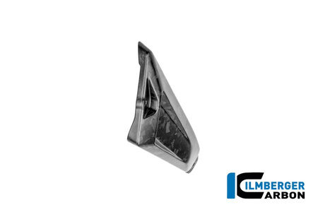 Osłona tylnego trójkąta ramy lewa matowa - black diamond carbon BMW R 1300 GS Adventure od 2024 ILMBERGER BM.RDL.003.24GSA
