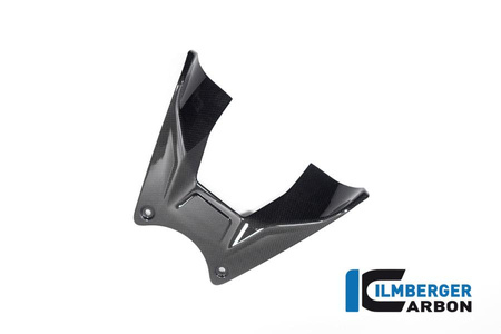 Osłona zbiornika paliwa do motocykla Ducati Diavel V4 (od 2023) - połysk ILMBERGER TAO.024.DI23G.K