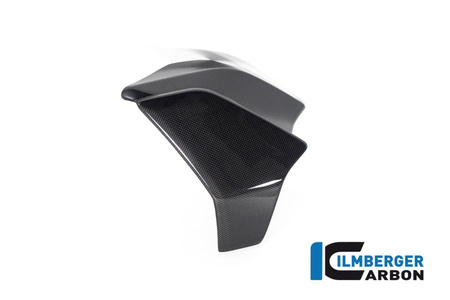 Osłona chłodnicy lewa - połysk do motocykla DUCATI Diavel 1260 od 2019 ILMBERGER WKL.006.DI19G.K