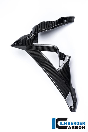 Osłona chłodnicy wodnej lewa - carbon BMW S 1000 R (2014-2016) ILMBERGER WKL.208.S100N.K