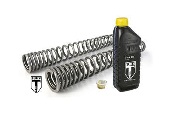Progressive fork springs for BMW RnineT (2021-2022)