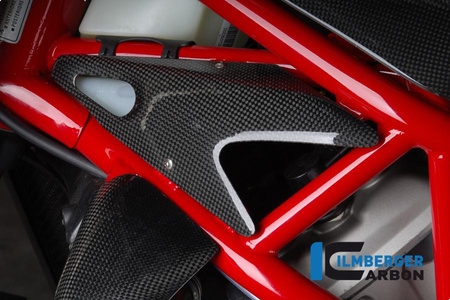 Zestaw osłon zbiornika wodnego lewy i prawy - carbon Einzelstcke MV Agusta Brutale 750/910 ILMBERGER WAB.013.MVBRU.K