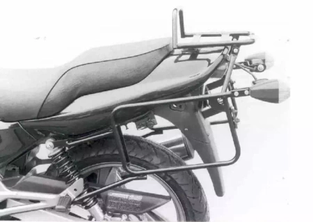 Kawasaki ER-5 (1997-2000) complete carrier