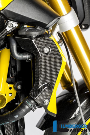 Osłona chłodnicy wodnej prawa – carbon BMW R 1200 R (LC) od 2015 ILMBERGER WKR.009.R12RL.K