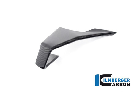 Winglet prawy do motocykla BMW M 1000 RR Racing (2023-2024) - ILMBERGER CG.VFR.005.M123S